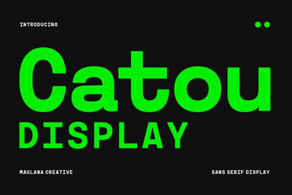 How Catou Transformed My Brand’s Visual Identity